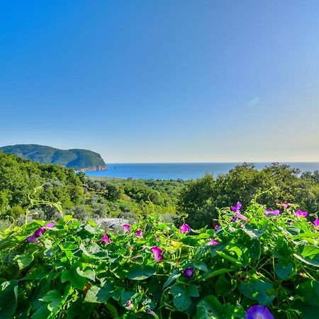 Pataki Studios Petrovac Екстер'єр фото