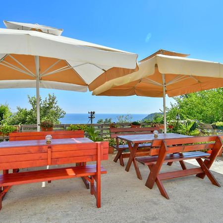 Pataki Studios Petrovac Екстер'єр фото