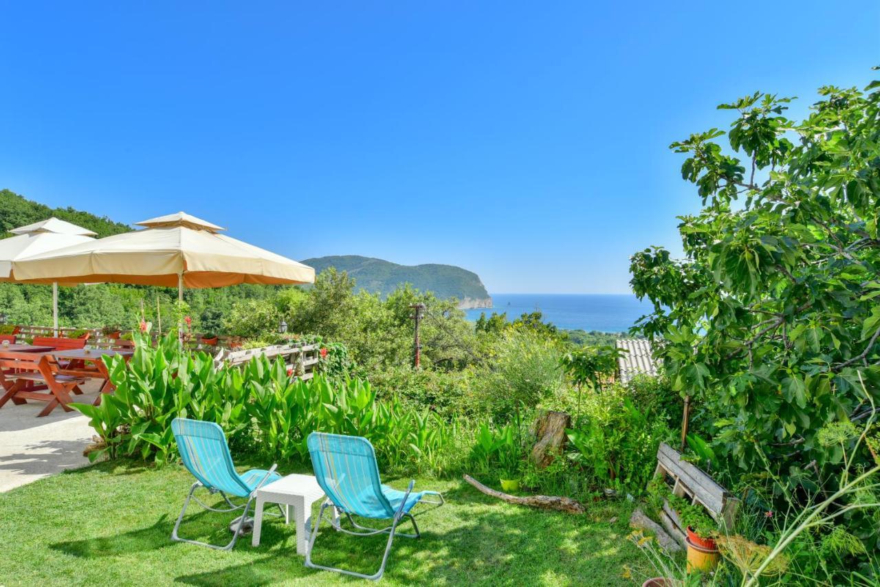 Pataki Studios Petrovac Екстер'єр фото
