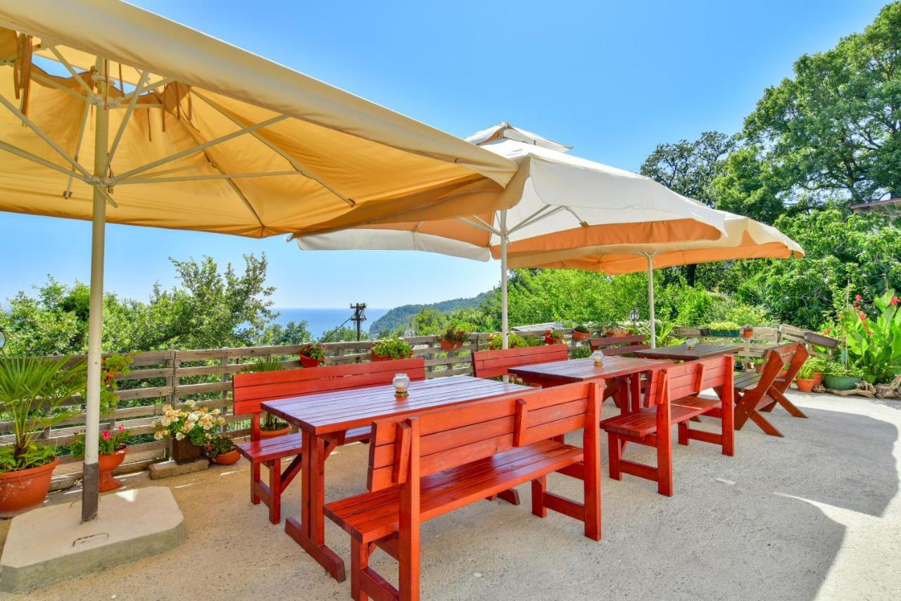 Pataki Studios Petrovac Екстер'єр фото