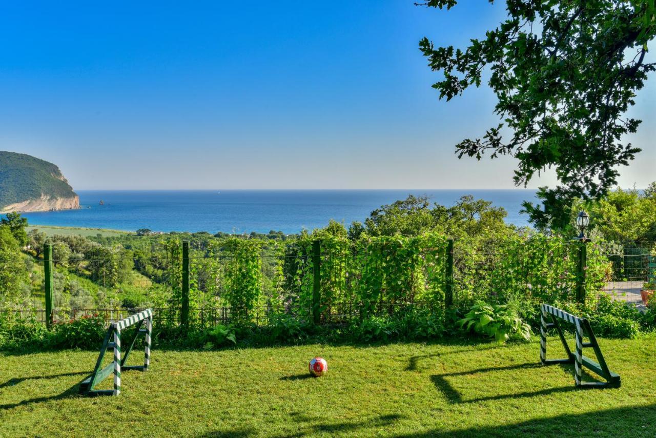 Pataki Studios Petrovac Екстер'єр фото