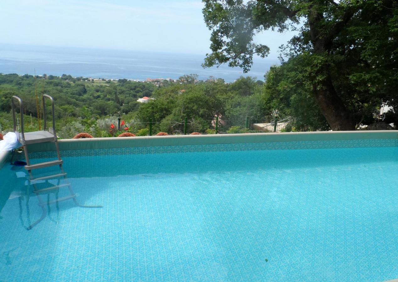 Pataki Studios Petrovac Екстер'єр фото