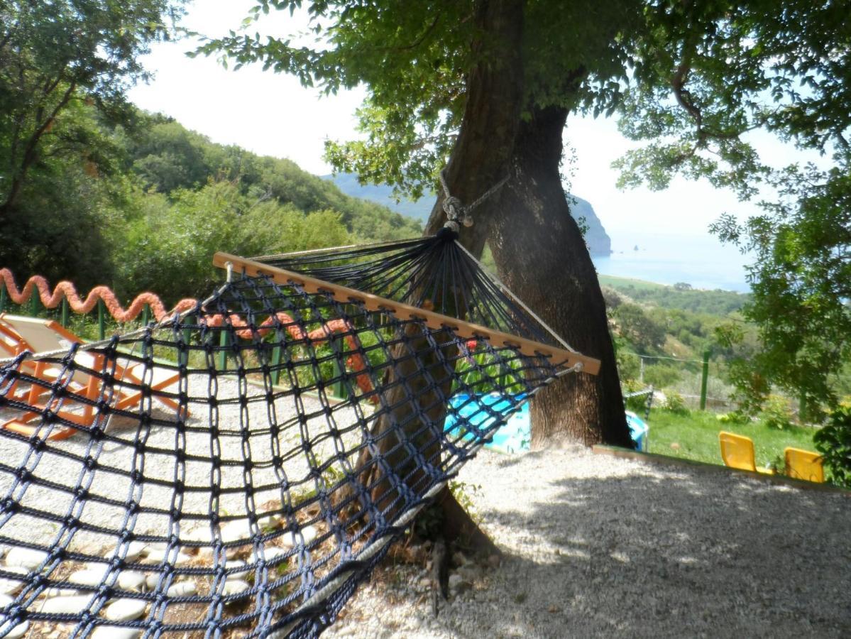 Pataki Studios Petrovac Екстер'єр фото
