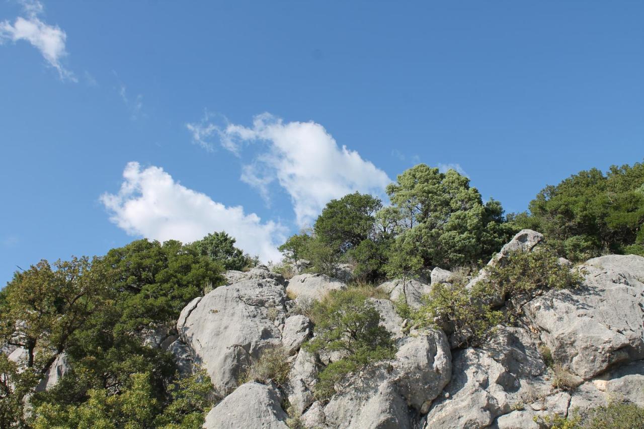 Pataki Studios Petrovac Екстер'єр фото