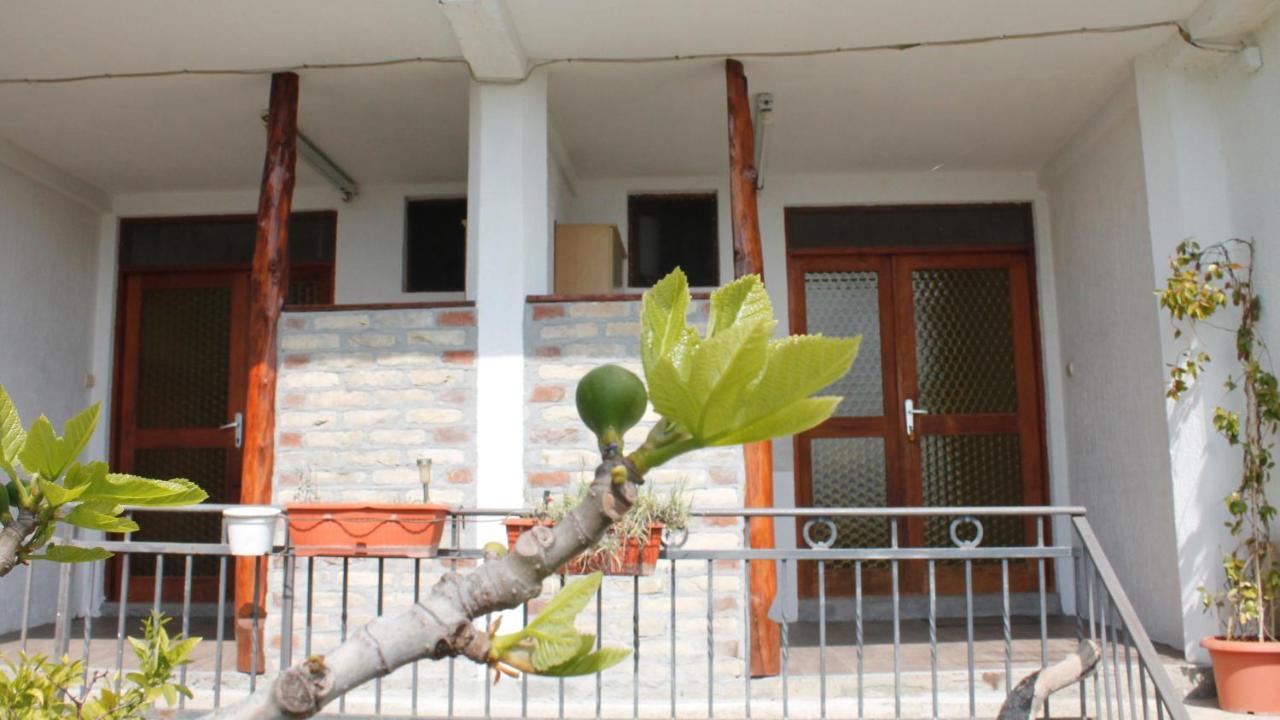 Pataki Studios Petrovac Екстер'єр фото
