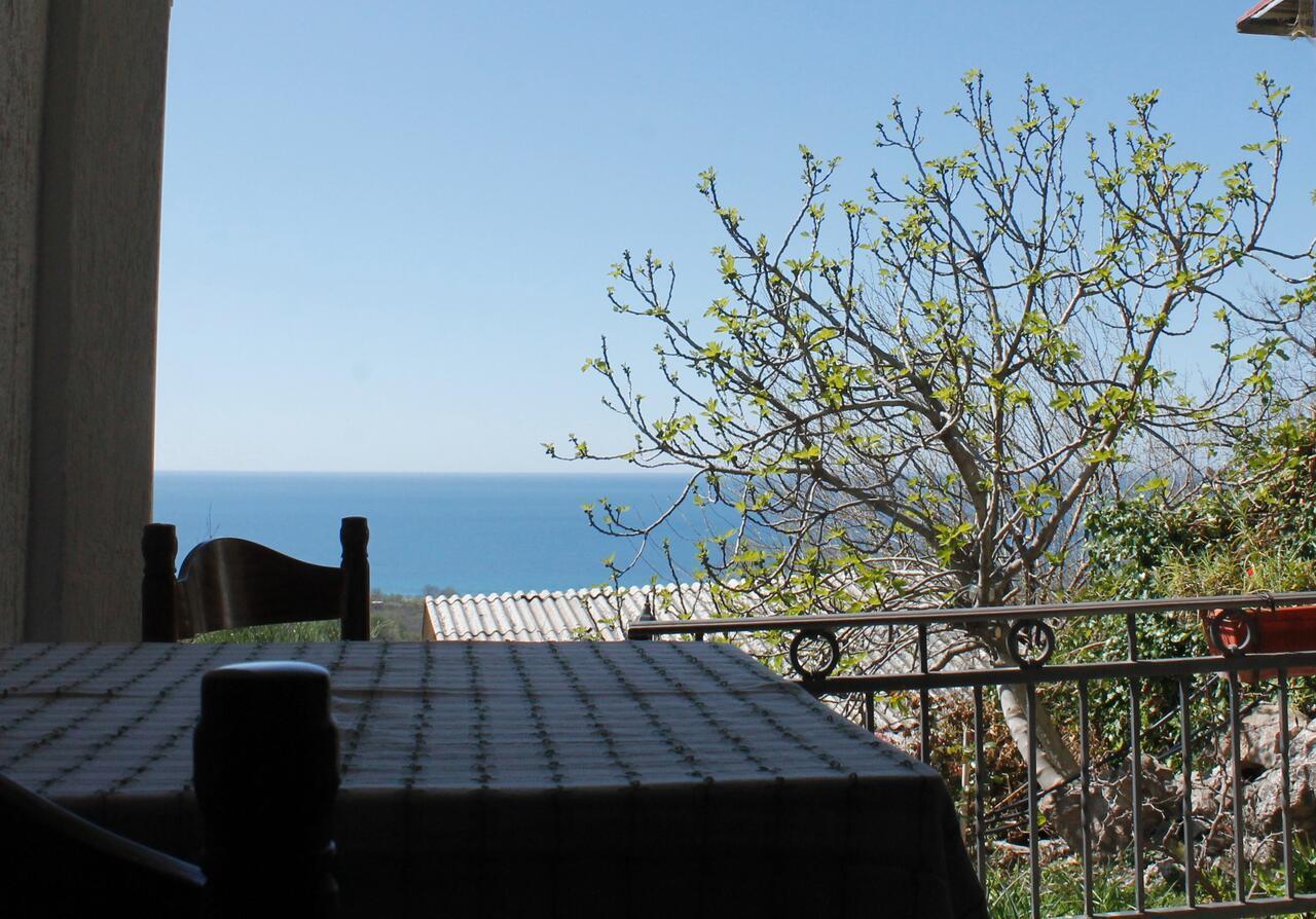Pataki Studios Petrovac Екстер'єр фото